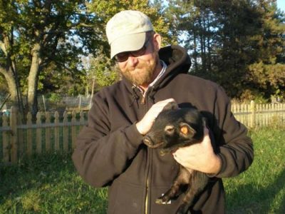 Mulefoot Hogs In Osage County Image